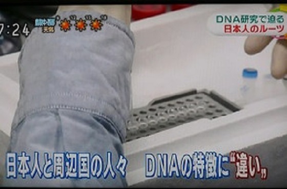 日本人と周辺国の人々　DNAの特徴に【違い】！『NHKニュース「おはよう日本」』