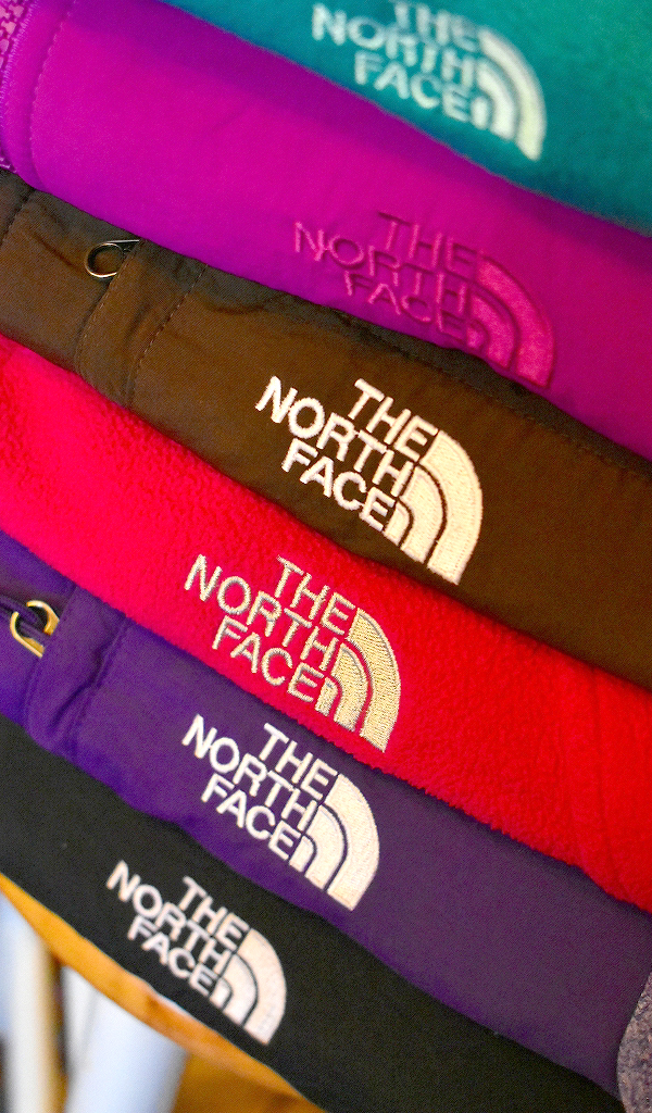 ノースフェイスThe North Faceアウトドア登山フリースジャケット画像デナリジャケット　メンズレディースコーデ古着屋カチカチ