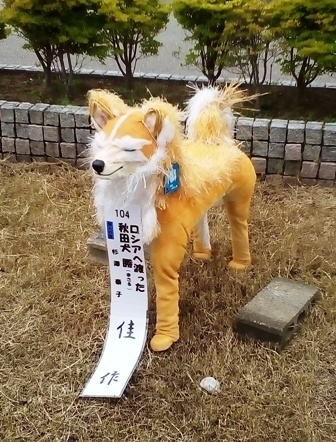 2018年9・24秋田犬