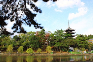 猿沢池から興福寺の五重塔