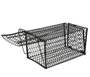 cage.jpg