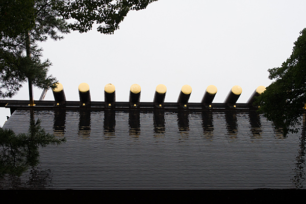 熱田神宮拝殿屋根と雨