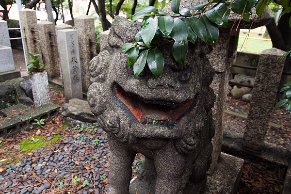 港陽八幡神社狛犬