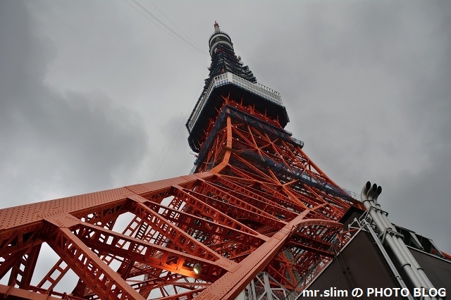 mr.slim の PHOTO BLOG 雨の東京タワー