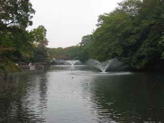井の頭公園