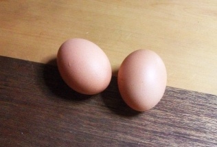 卵1
